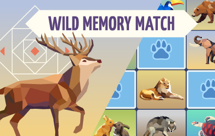 Wild Memory Match